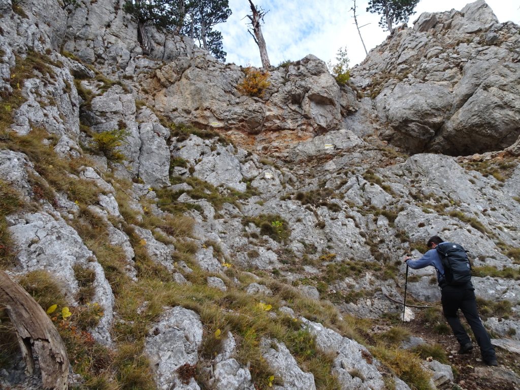 Robert climbs up "Camillo-Kronich-Steig"