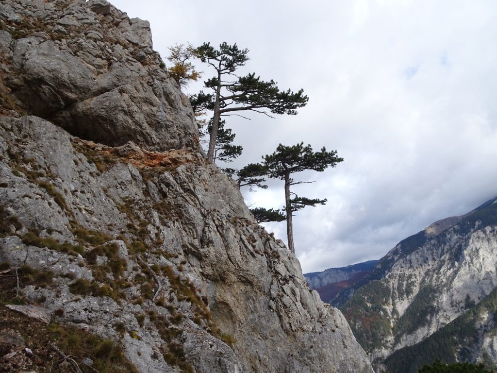 View from "Camillo-Kronich-Steig"