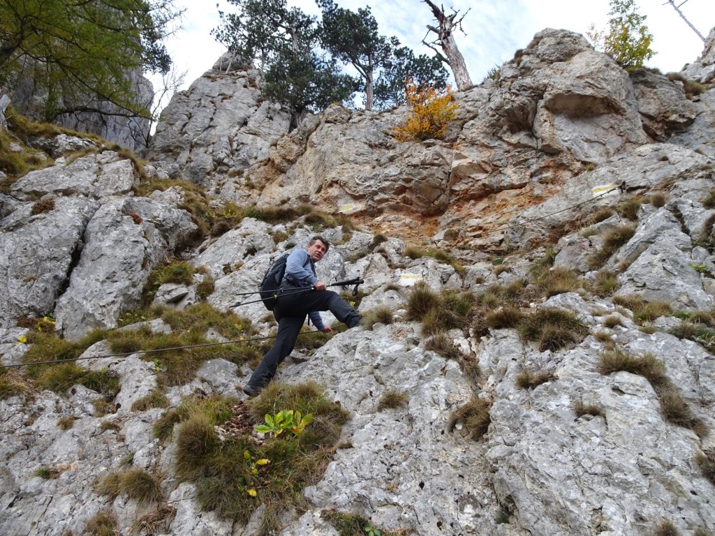 Robert climbs up "Camillo-Kronich-Steig" (A)