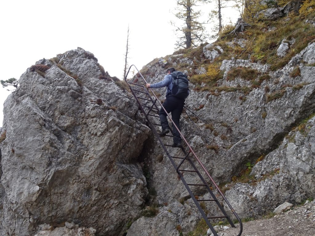 Robert climbs up one of the few ladders of "Camillo-Kronich-Steig"