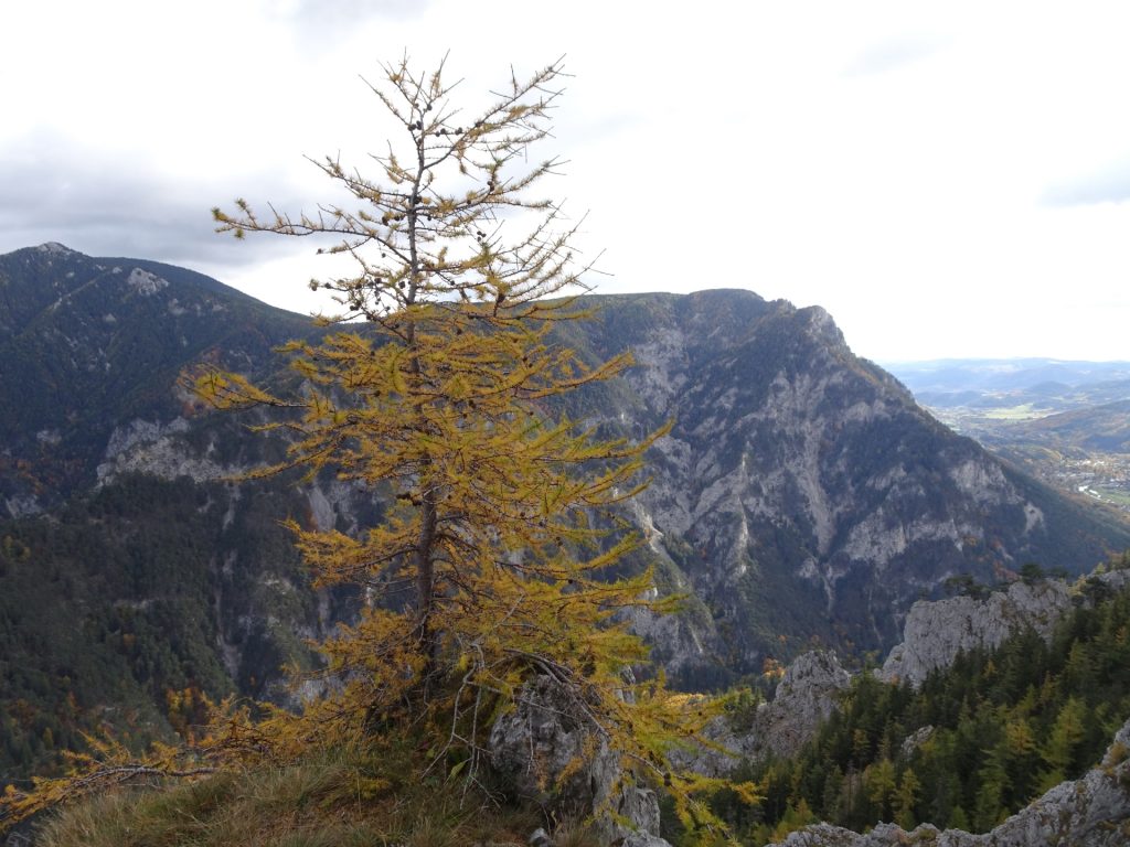 View from "Camillo-Kronich-Steig"