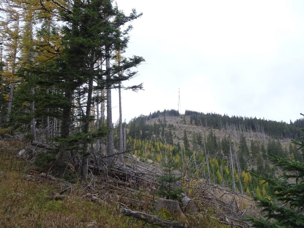 A first glimpse on the mountain station and the antenna