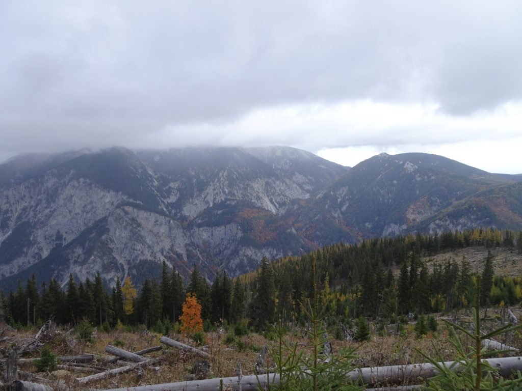 View from the trail towards "Berggasthof"