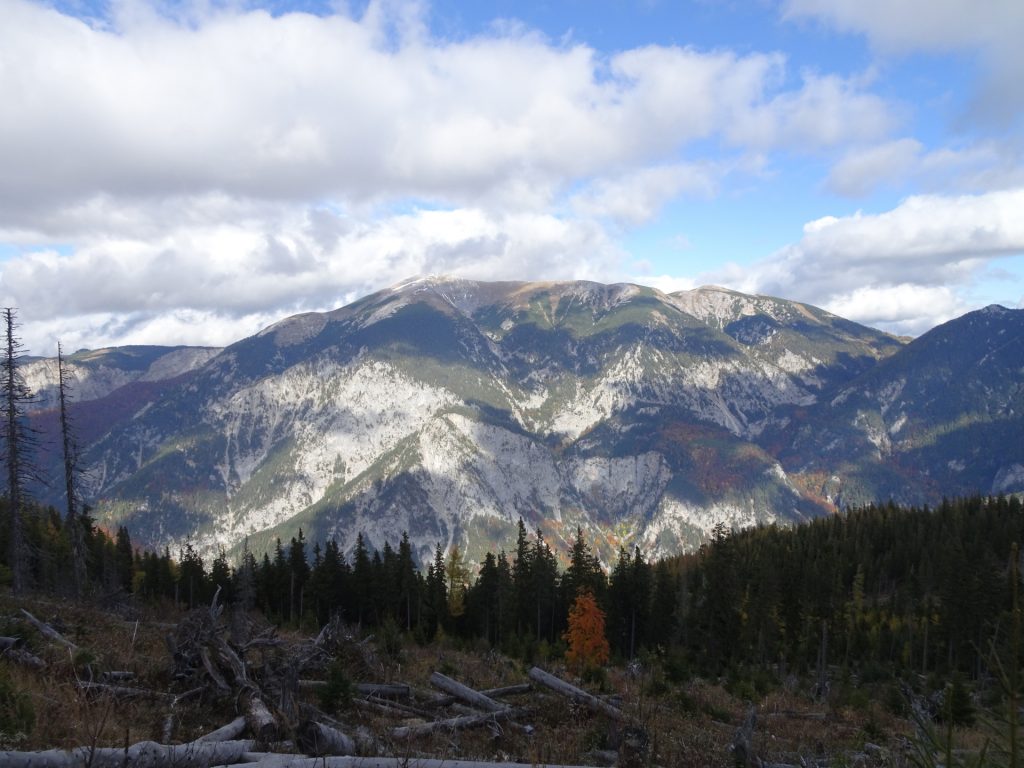 Towards "Gsolhirnsteig"