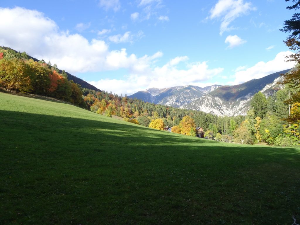 On the trail towards "Hirschwang"