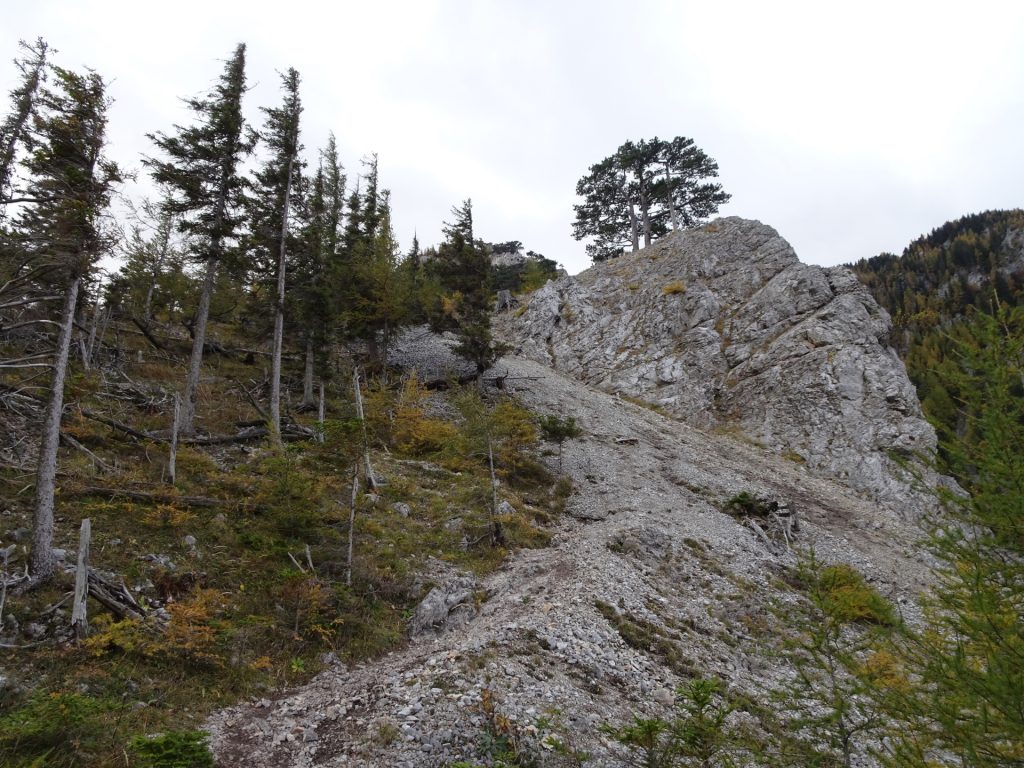 Hiking up "Camillo-Kronich-Steig"