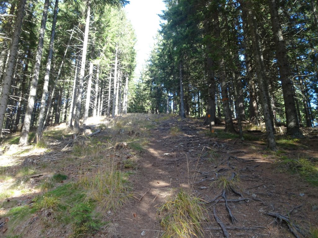 Trail towards "Mugel"