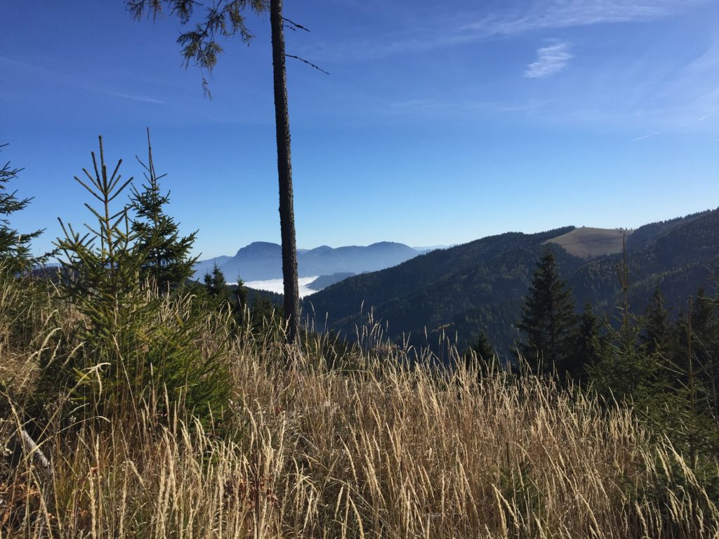 View from the trail towards "Mugel"