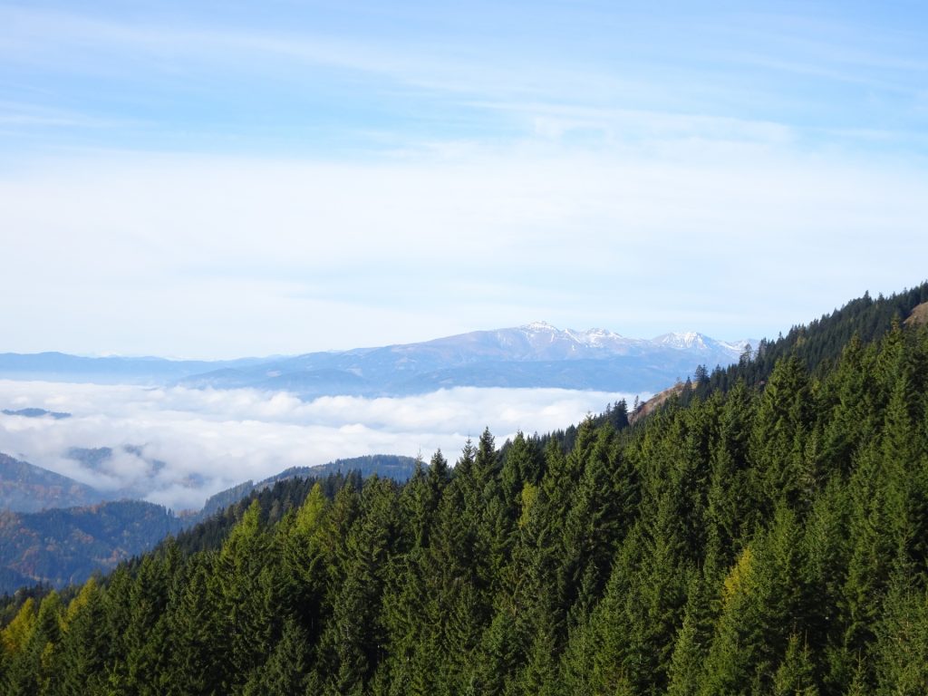 Scenic view from the trail towards "Mugel"