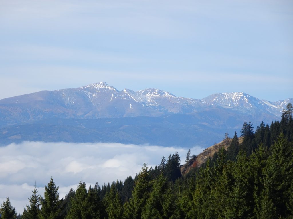 Distance view from the trail towards "Mugel"