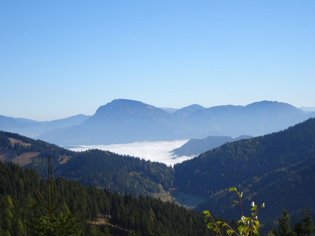 Scenic view from the trail towards "Mugel"