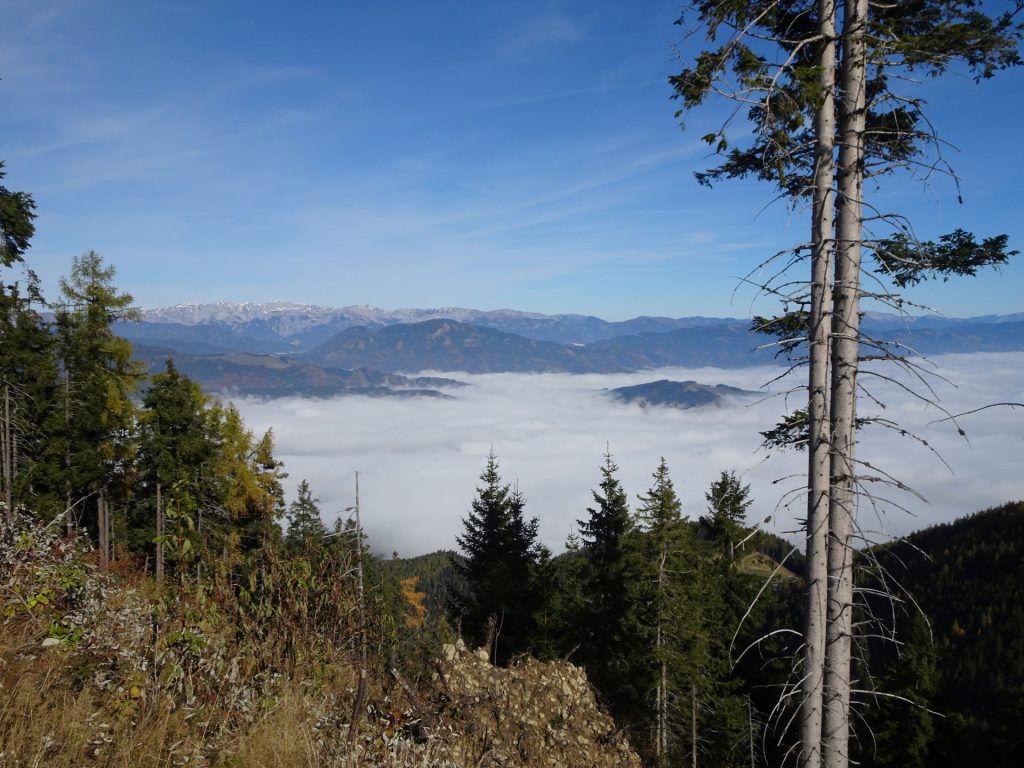View from the trail towards "Mugel"