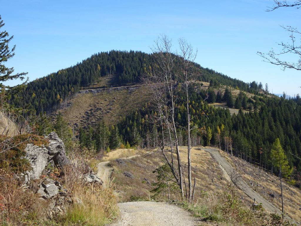 On the way back towards "Silberbrunnsattel" (with the "Rosseck" in the background)