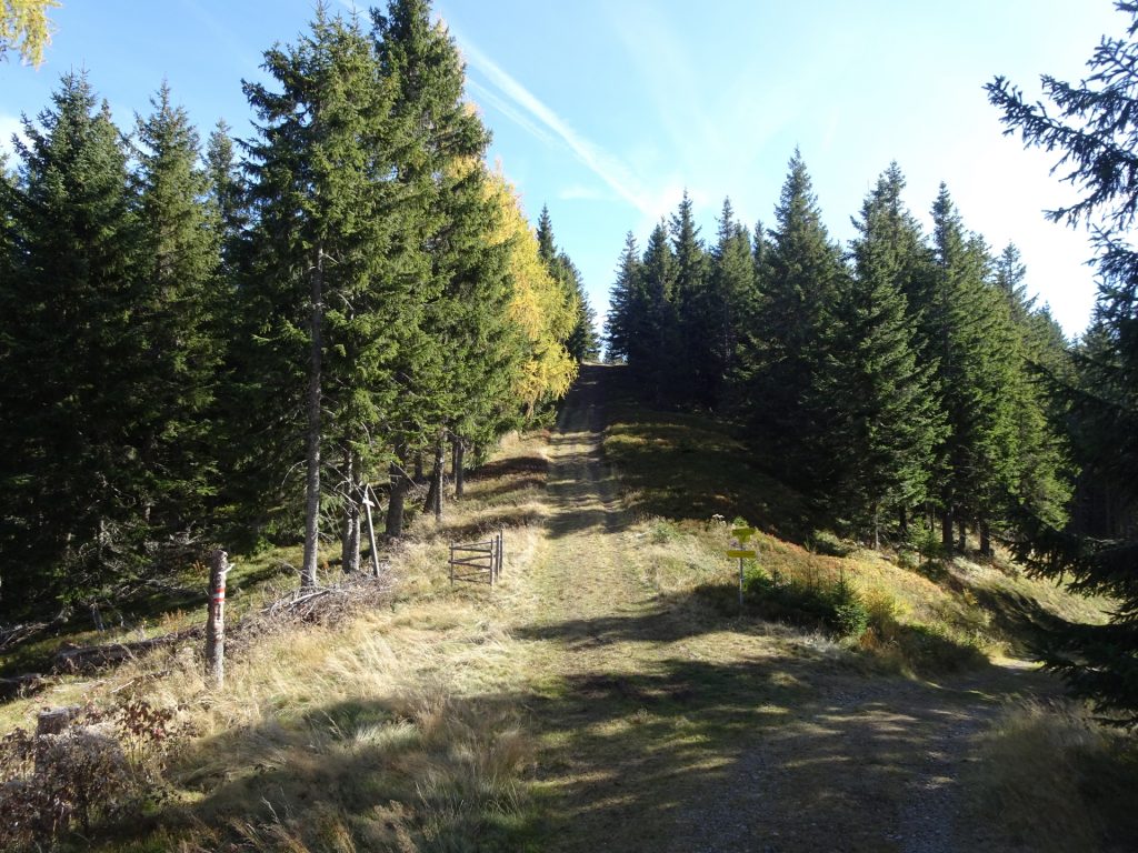 On the "Silberbrunnsattel" towards "Rosseck"