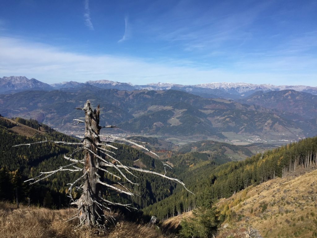 View towards "Hochschwab" massif from the trail towards "Rosseck"