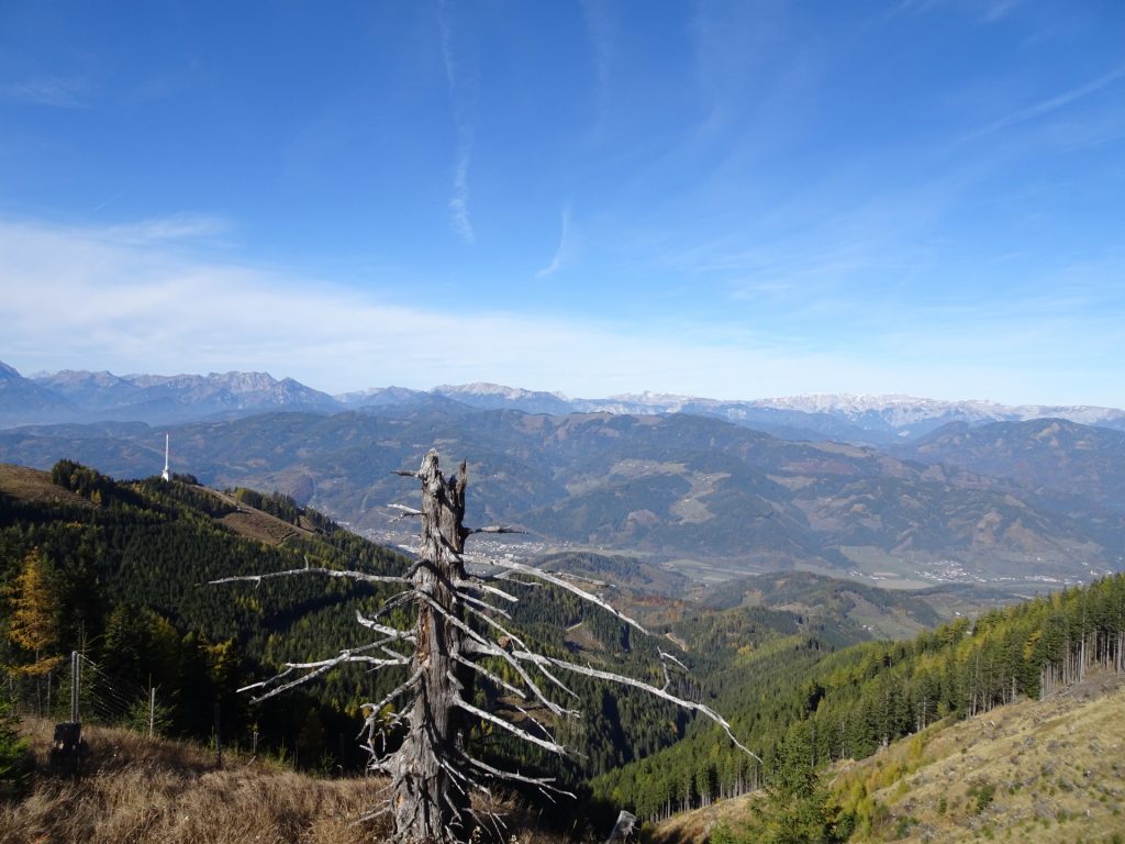 View towards "Hochschwab" massif from the trail towards "Rosseck"