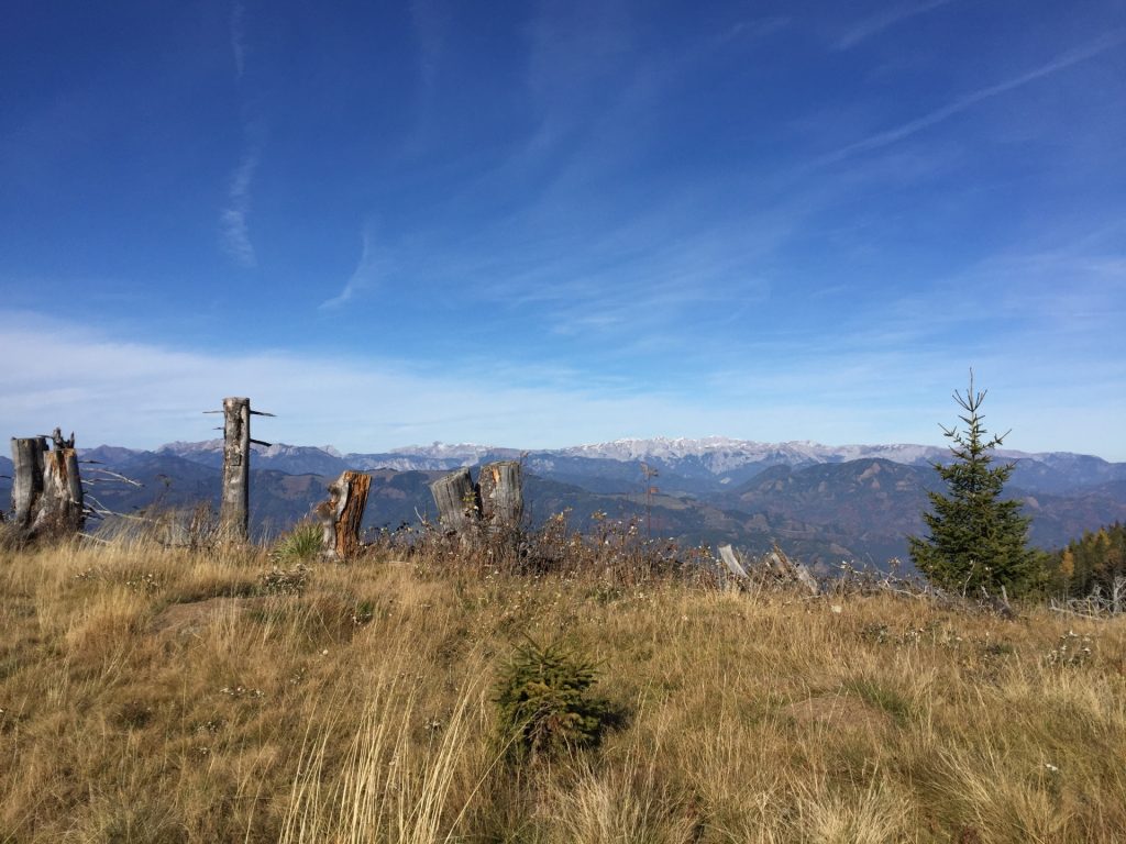 View from the trail towards "Rosseck"