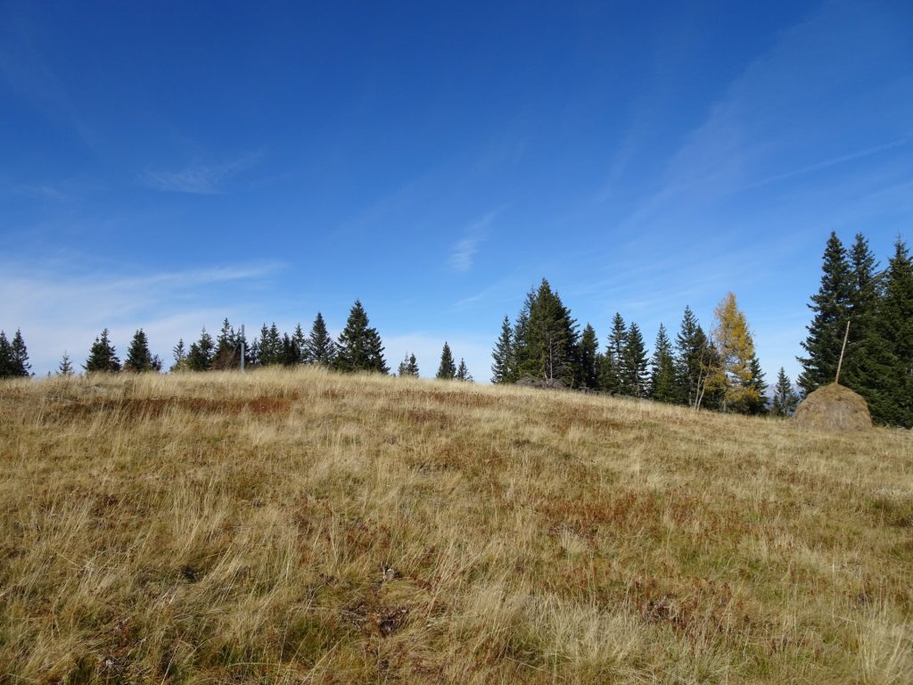 At the summit of "Rosseck"