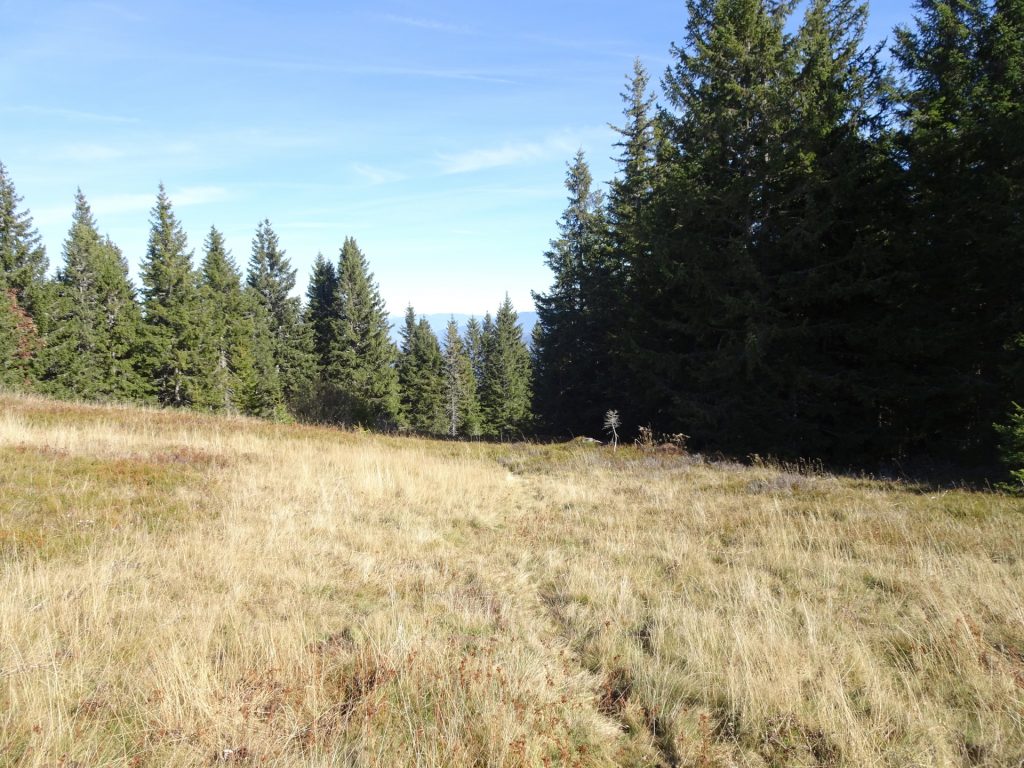 Descending from "Rosseck" towards "Wirtalm"