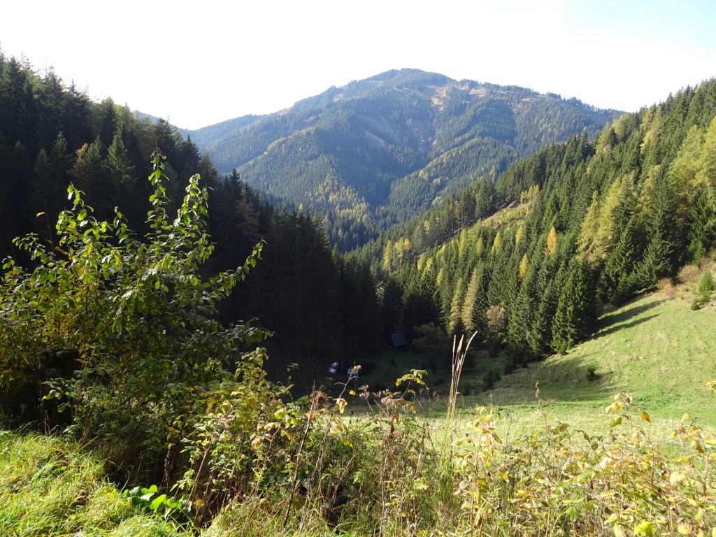 View from "Utschmoaralm" towards "Hochanger"