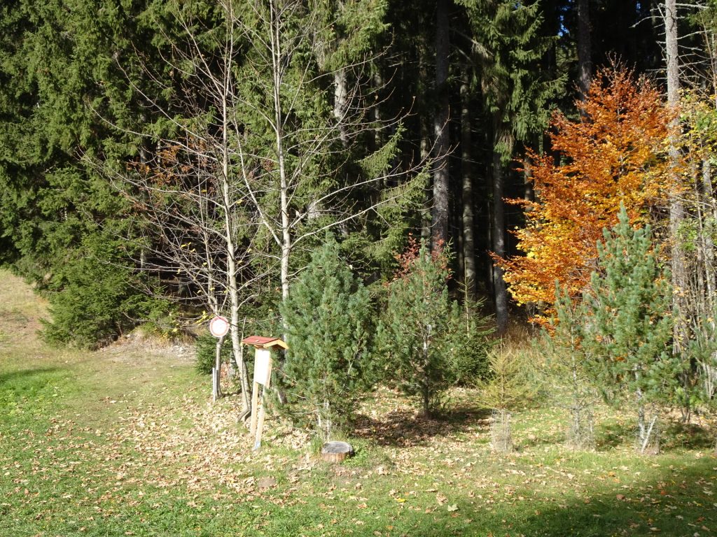 Turn left at the "Eisenpass" and follow this trail