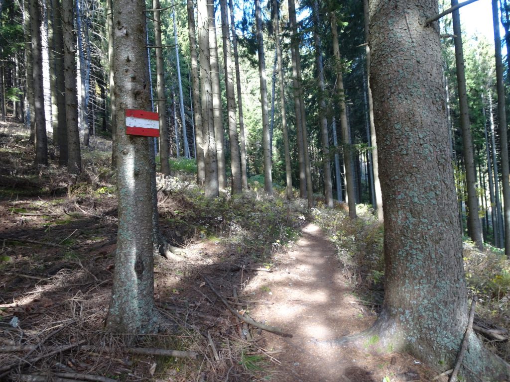 Follow the red-white-red marked trail at "Eisenpass"