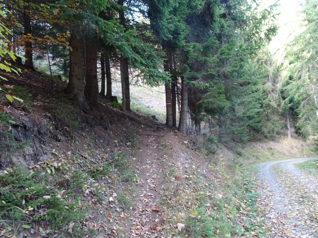 Follow the red-white-red marked trail towards "Hochanger"