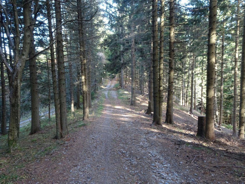 On the trail towards "Hochanger"