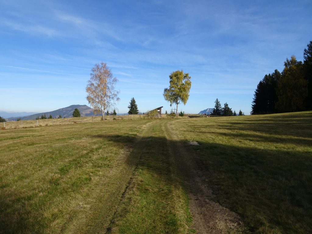 Approaching the summit of "Hochanger"