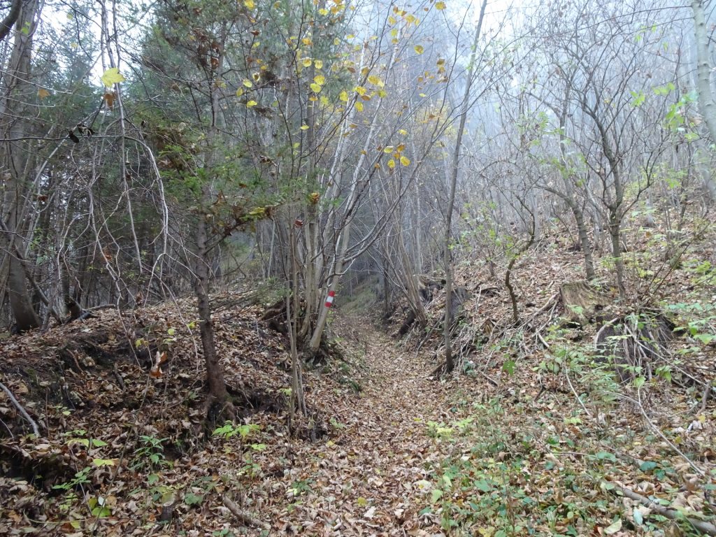 Follow the marked trail towards "Kampalpe"
