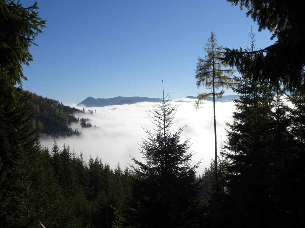 Amazing view (above the fog)