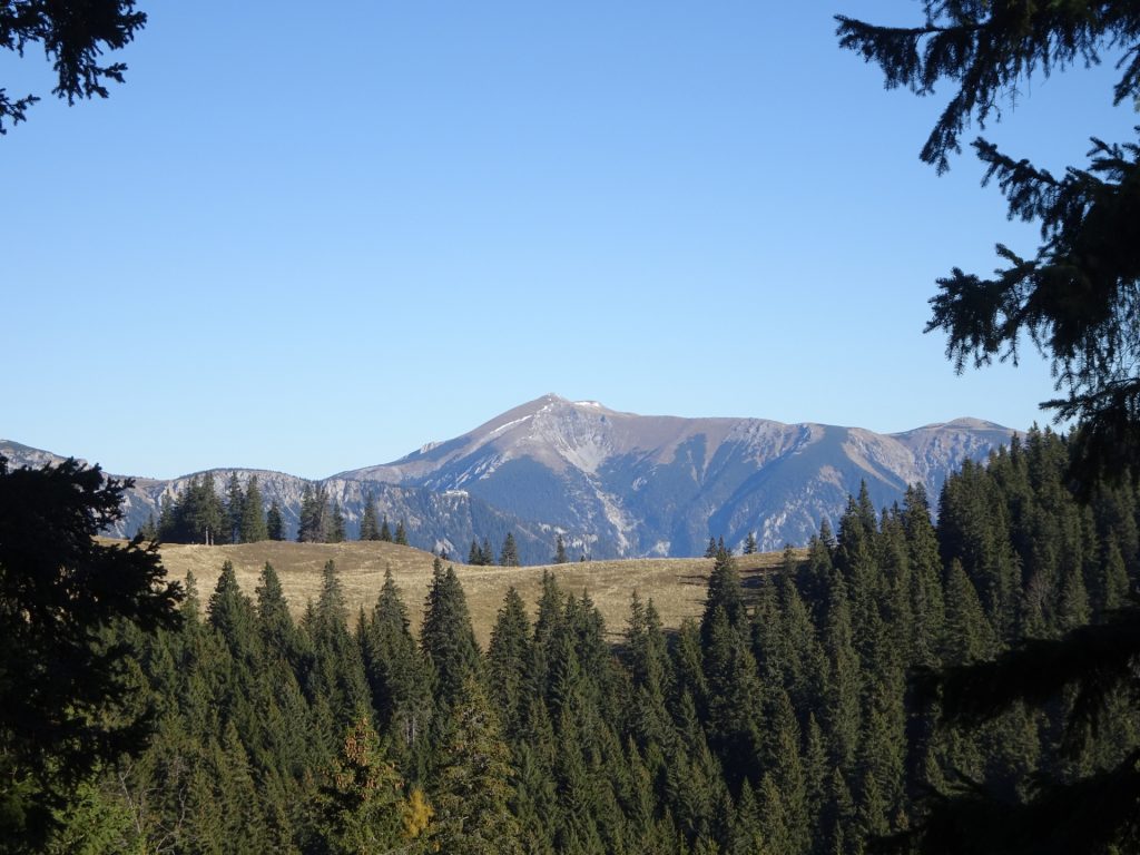 View towards "Schneeberg" at the exit of "Probststeig"