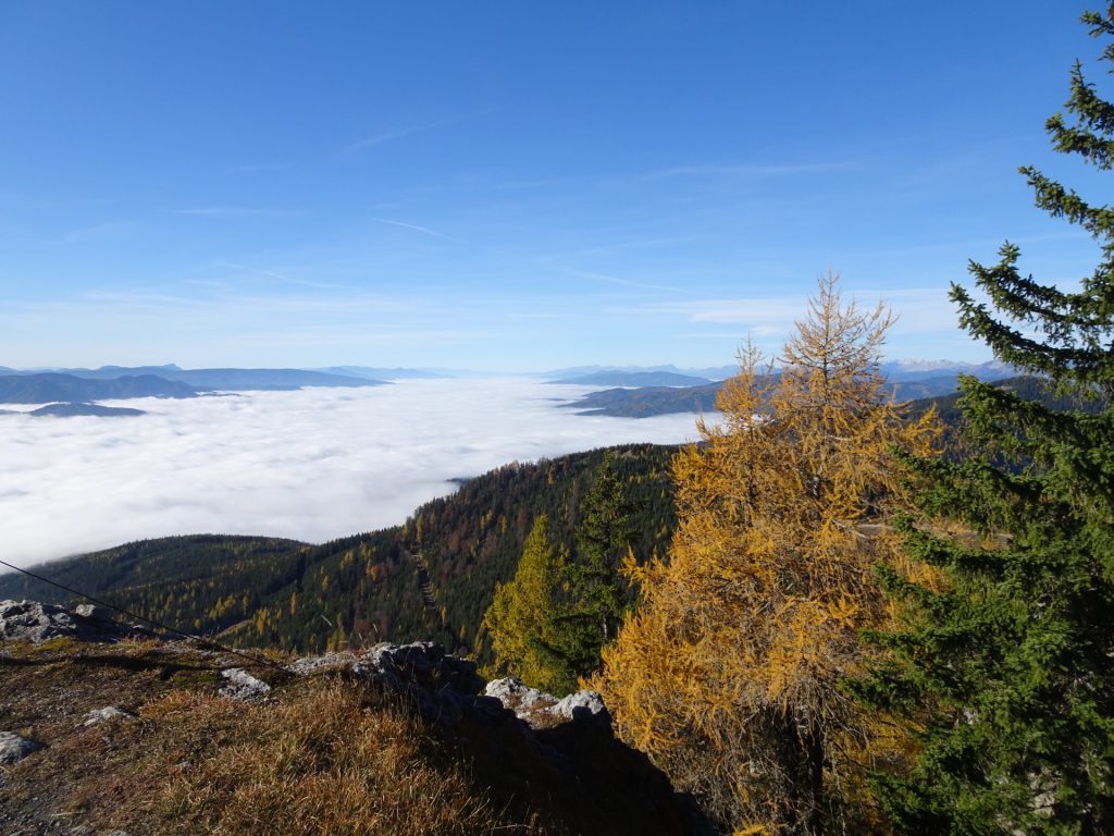 View from the summit of "Kampalpe"