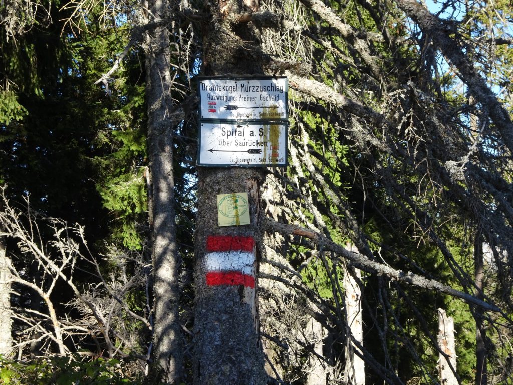 Turn left here and follow the trail towards "Spital über Saurücken"