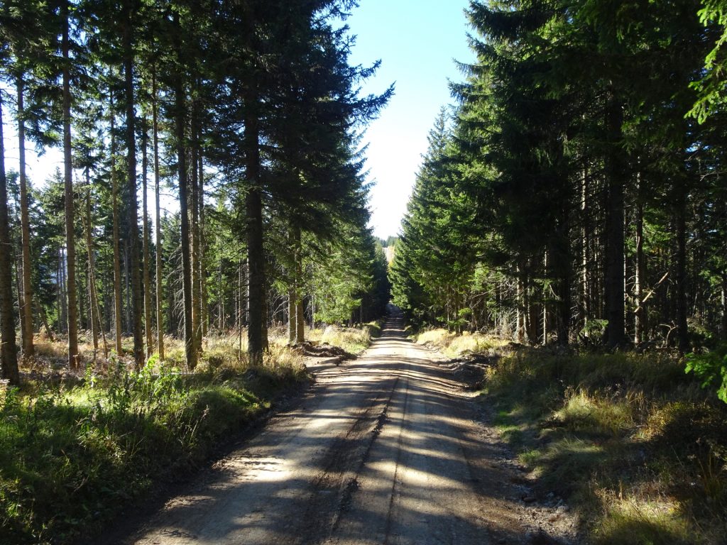Towards "Große Scheibe"