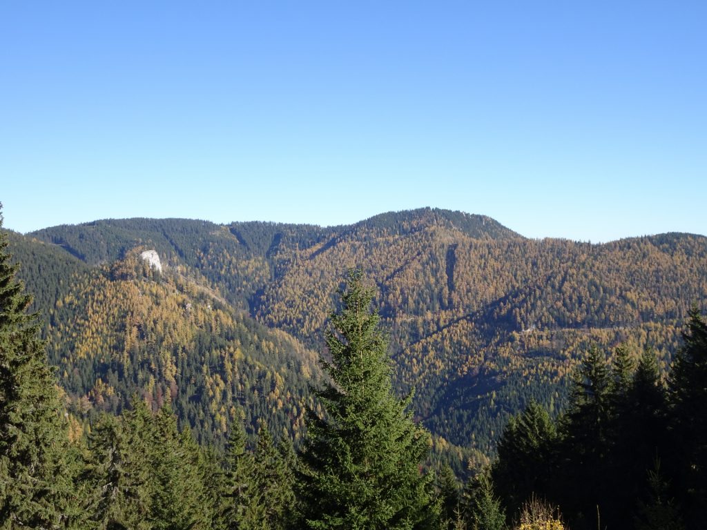 View back from the trail towards "Große Scheibe"