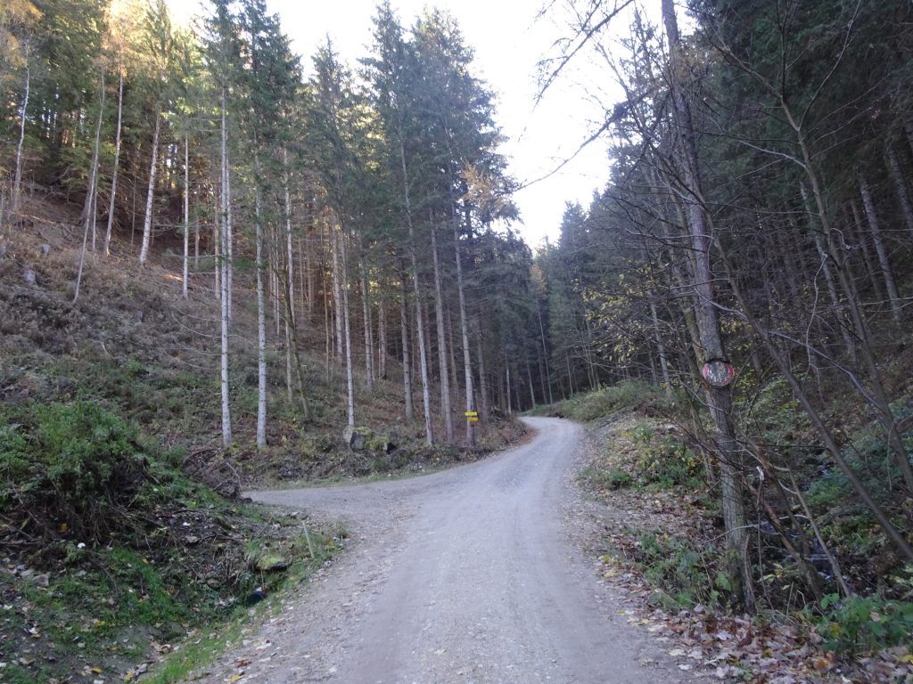Turn left here towards "Rosseck"