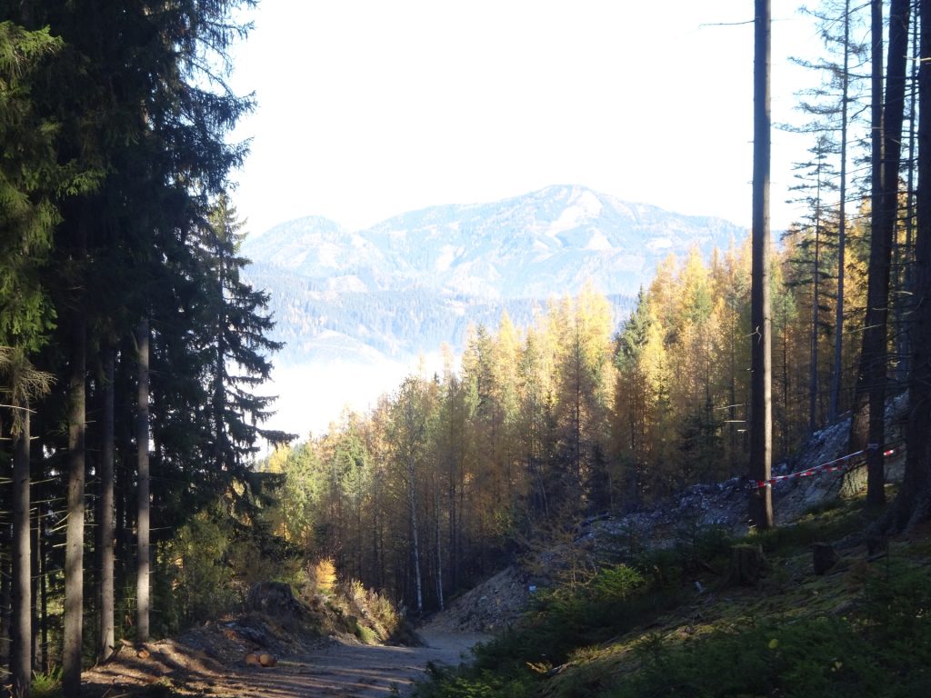 On the trail towards "Rosseck"