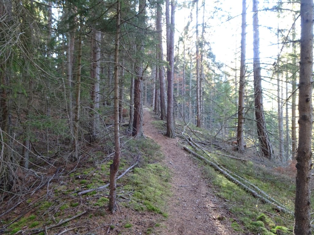 On the trail towards "Rosseck"