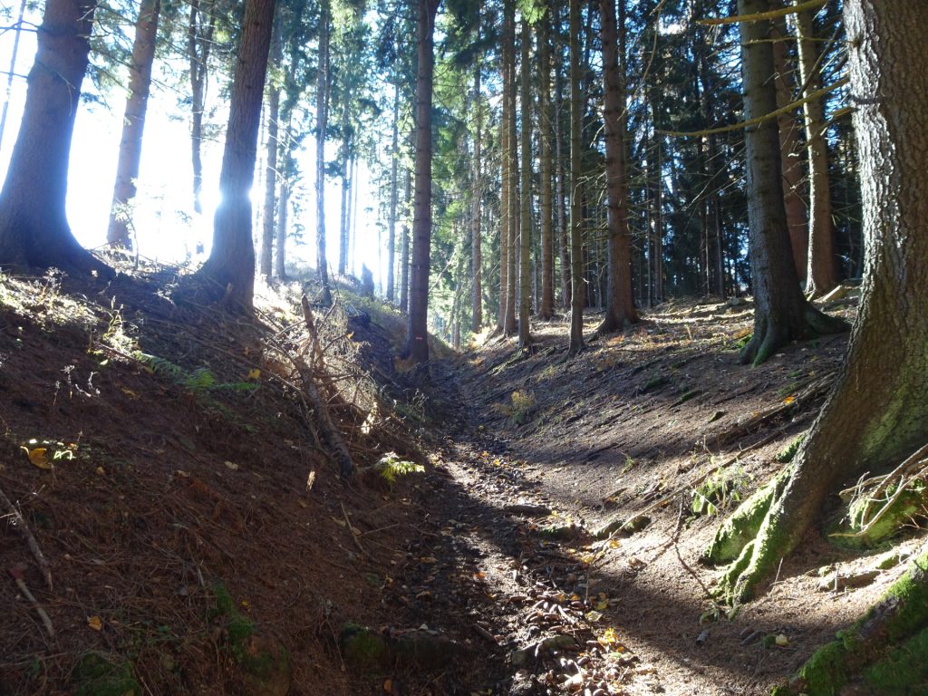 On the trail towards "Rosseck"