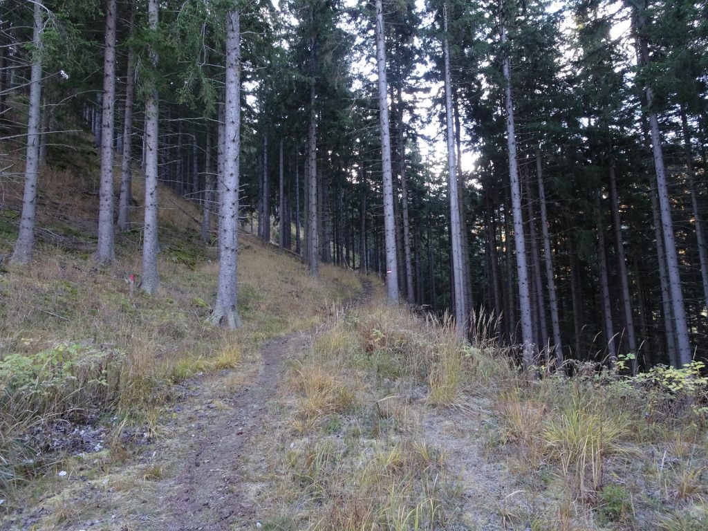 On the trail towards "Rosseck"