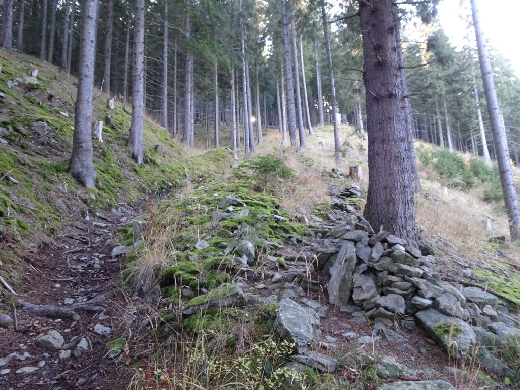 On the trail towards "Rosseck"
