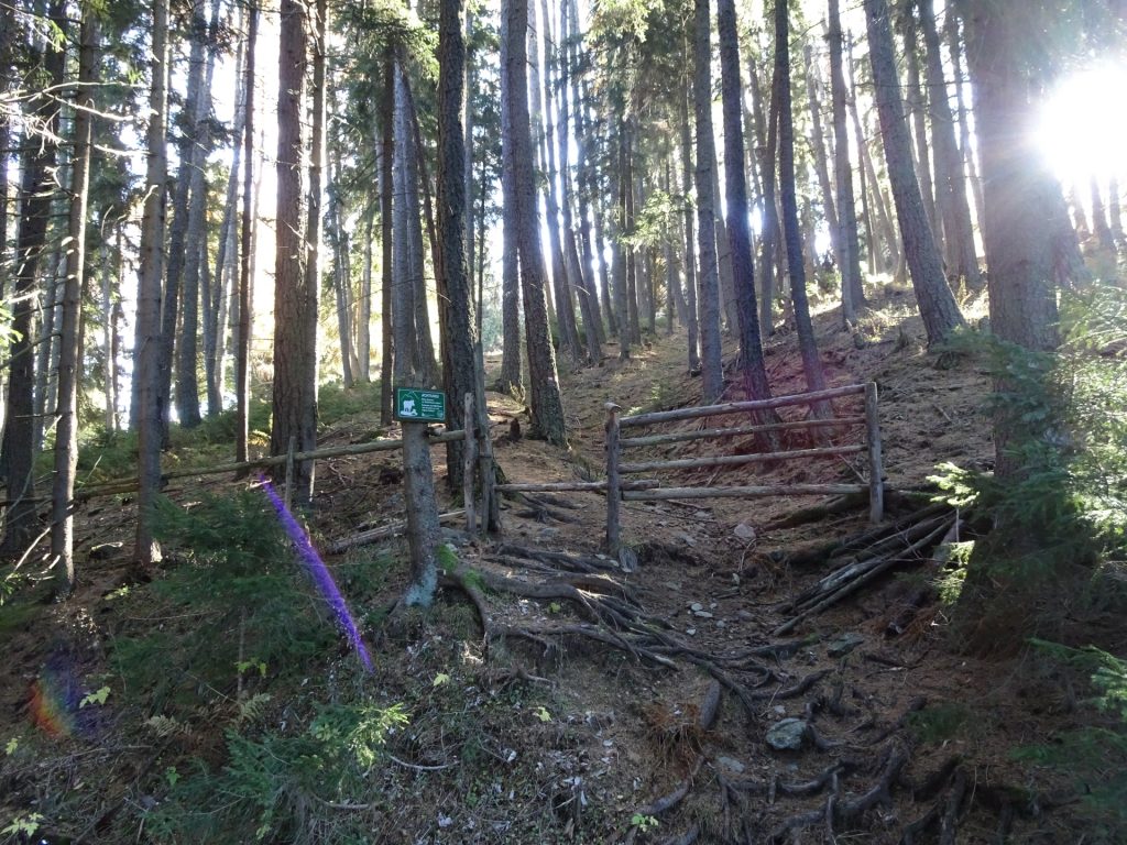 On the trail towards "Rosseck"