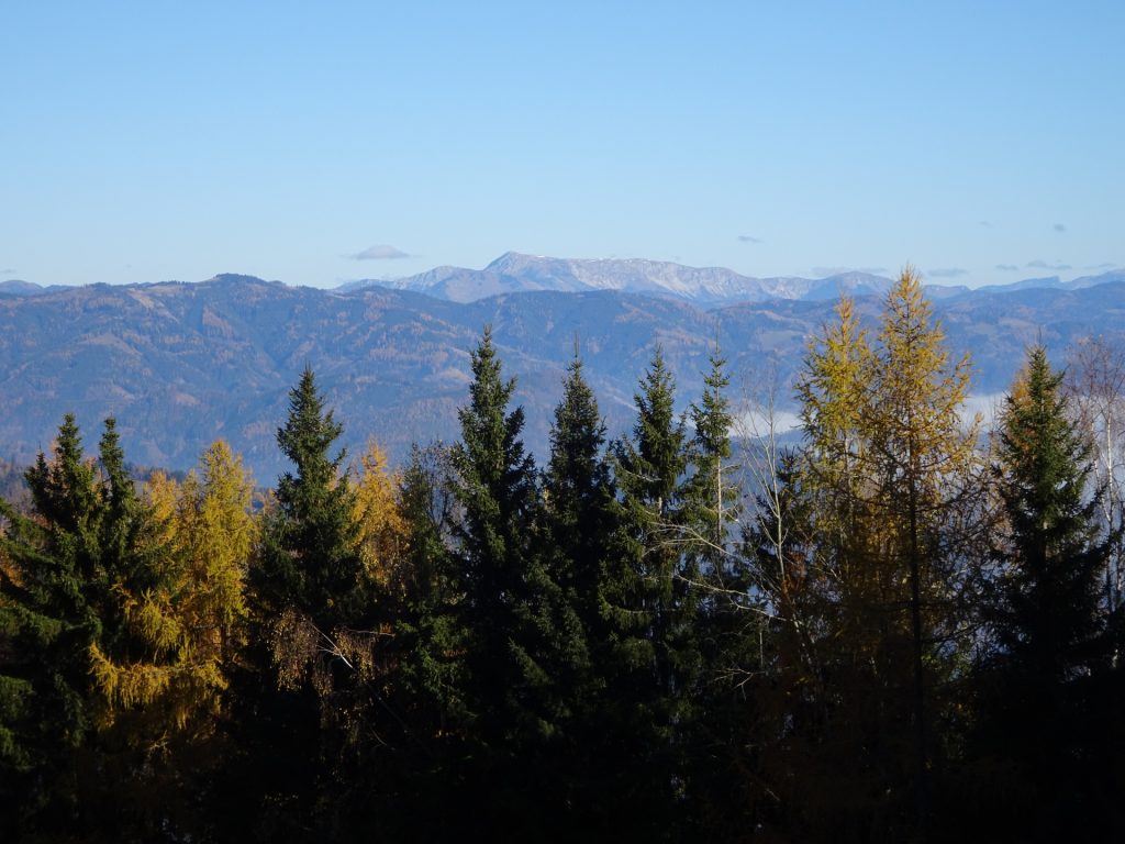 View from the trail towards "Rosseck"