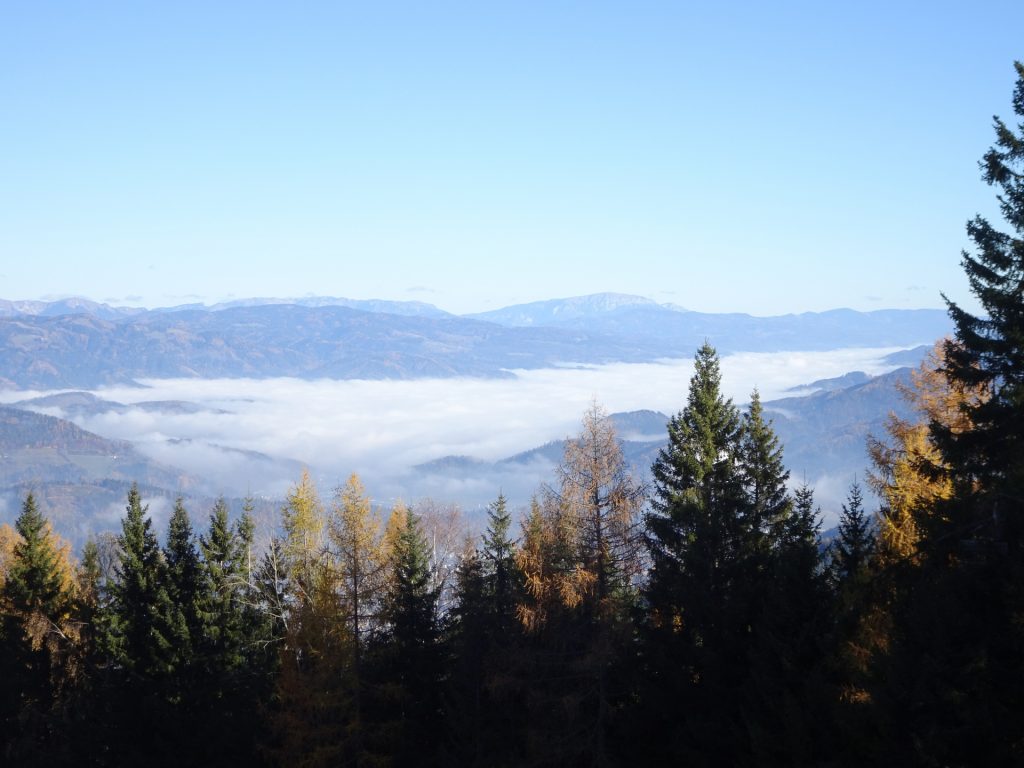 View from the trail towards "Rosseck"
