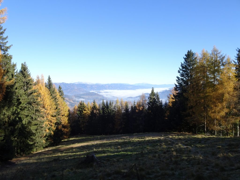Distance view the trail towards "Rosseck"