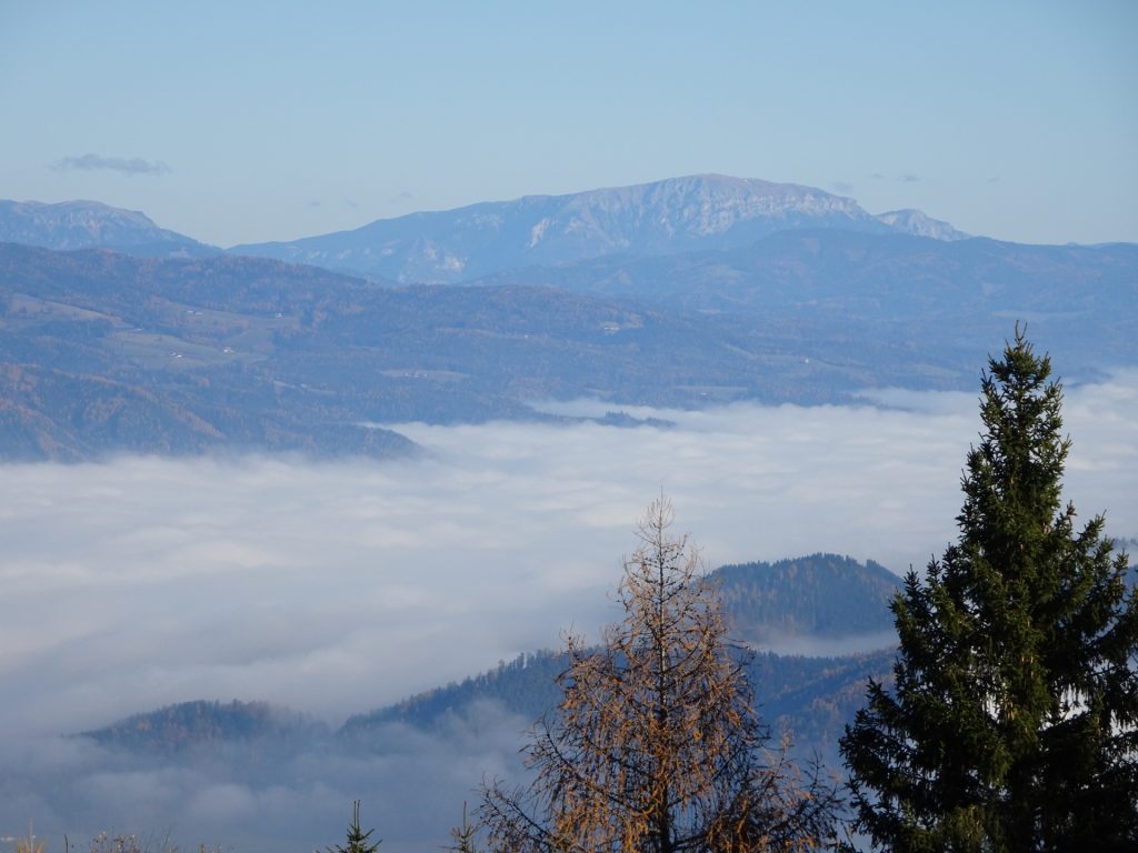 Distance view from the trail towards "Rosseck"