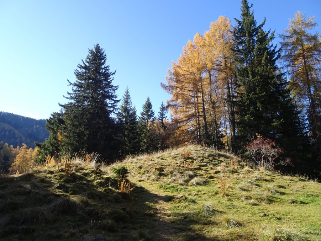 On the trail towards "Rosseck"
