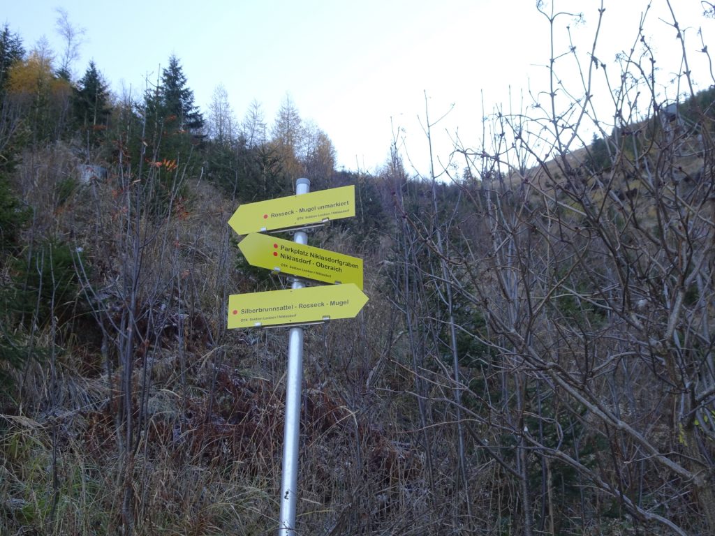 Turn left here and follow the unmarked trail towards "Rosseck"