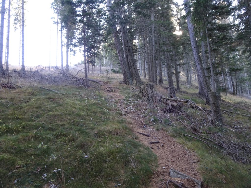 On the trail towards "Rosseck"
